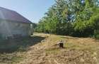 Casa de vanzare pe malul Prutului Moreni, Iasi | Teren 960 mp | Zona linistita - 6