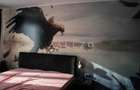 Apartament deosebit cu 3 camere | Dumbravita - 3