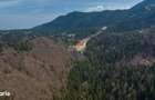 Teren intravilan, 56000 mp, Poiana Brasov