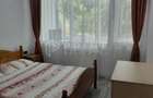 Apartament luminos cu 2 camere de inchiriat Zona Aleea Carpati - 6