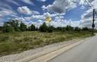 Teren Intravilan 20.000mp - Locatie Excelenta langa Penny Odaile! - 9