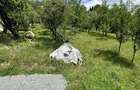 Parcela de 3.72 ari zona Valea Rosie - 2
