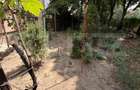 Apartament 2 camere decomandat, parter, Calea Bucuresti, zona Neuro. - 3