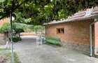 Casa, spatiu comercial, comercial, 7000 m2, service auto, agro depozit constructii - 2