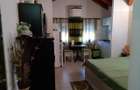 studio Complex Elisbetinin, Judetean 350 EUR/luna - 4