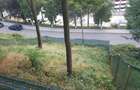 Vand teren ultra central in Baile Herculane - 1