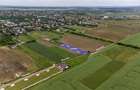 BUFTEA FLAMANZENI,TEREN INTRAVILAN 1660 MP,DESCHIDERE 17 M - 4