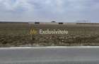 Teren intravilan 1500mp situat la DC87 Pielesti, zona Peugeot - 2
