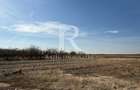 Teren intravilan agricol | 7029 mp | Satu Nou | Bihor