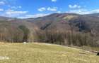 Vand teren pentru cabane - 2