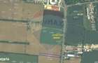 Teren 5,005mp Snagov /Deschidere la DN 1 - 2