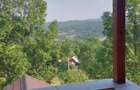 Casa de vacanta in Brebu-Pietriceaua - 10
