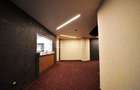 Alexandru cel Bun, spatiu excelent pozitionat, S+P, 800mp construiti - 9