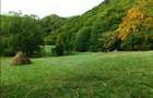 Teren la munte - Domnesti Arges - 2