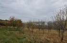 Vand Teren Comsesti Com. Tureni - 4