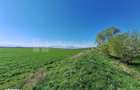 Teren de 8700 mp - extravilan - Bod, Brasov - 4