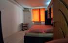Apartament 2 camere de vanzare Lujerului - 8