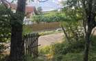 Vand teren intravilan in satul Vacarea, comuna Mihae?ti, in suprafa?a de 2.600 mp. - 6