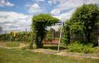 Casă de vânzare cu 3 camere cu curte generoasă - 16