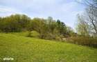 TEREN DE VANZARE 1.688 MP| SULTANU | VISINESTI | DEALURILE SULTANULUI - 4