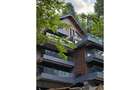 REA1028861 Apartament 2 Camere cu Curte Proprie I Sinaia I Proiect Premium - 2