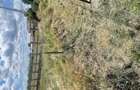 Vand teren intravilan in sat nou Lipanesti - 1