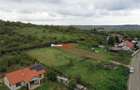 TEREN GENEROS | STR. PIERSICILOR - 6