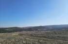 Terenuri Tome?ti Dealul Crucii | panorama | intravilan - 11