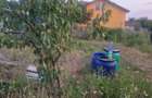 TEREN INTRAVILAN DE VANZARE ROBANE?TI, DOLJ | 5.000 MP