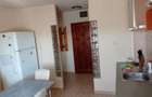 Apartament 3 camere - Malul Timisului - 14