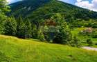 Teren intravilan 2500mp | Zărnești | Parcul Național Piatra Craiului - 1