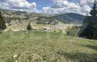 Teren in Vatra Dornei, str Rosu, 8450 mp, extravilan + intravilan - 5