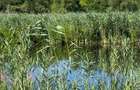 Teren cu deschidere la lac strada Orhideelor- conectare imediata la curent - 6