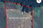 Teren 6091 mp pe Via Transilvanica (Malarisca) curat, cu constructie in acte - 1
