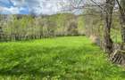 Vand teren Valea Doftanei - 9