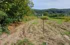 Teren agricol sat.Voroveni - 4