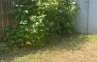 Casa 2 camere Negreni Olt 11000 eur - 4