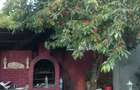 Vand casa in Deva sau schimb cu apartament sau garsoniera+diferen?a - 1