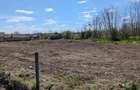 OFERTA Teren intravilan in Nuntasi - 6