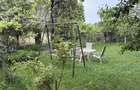 Casă cu 3 camere cu Teren 550 Mp în Elisabetin - 5