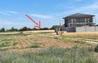 Vand teren intravilan construibil Crevedia-Darza STEJARULUI - 5