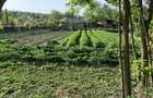 Vand sau schimb casa ultracentral 150 mp si teren 2166 mp in localitatea Bestepe Tulcea - 4