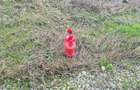 Vanzare lot Balotesti,zona Therme,canal,apa,gaz,electricitate