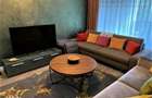 Apartament deosebit cu trei camere Silver Mountain - 8
