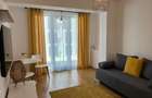 Inchiriere apartament 2 camere, Central Park - 8
