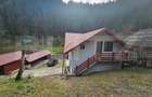 Casa cu 6 camere, Lini?te, Natura ?i Spa?iu, Vadul Motil - 15