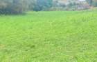 Vand Teren Intravilan .Suprafata de 7100 m2. - 3
