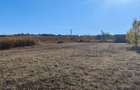 Teren 1.500 mp Fanatele Clujului (3 parcele + drum)extravilan, panorama