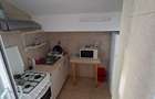 Apartament 1 camera Copou - Universitate - 5