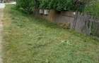 2 case de vinzare IN BOIAN 25000 eur pe casa - 4